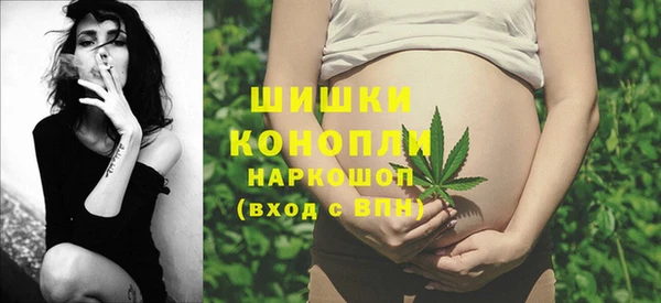 хмурый Горняк