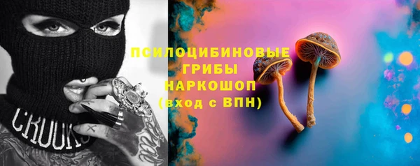 хмурый Горняк