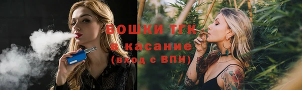 ПСИЛОЦИБИНОВЫЕ ГРИБЫ Горно-Алтайск