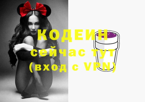 хмурый Горняк