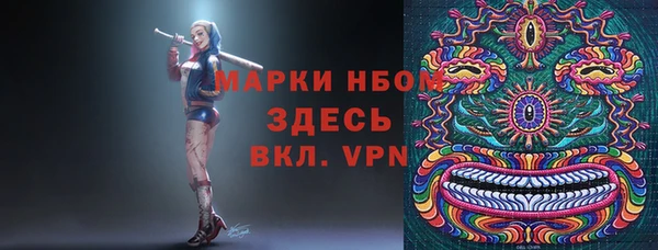 ПСИЛОЦИБИНОВЫЕ ГРИБЫ Горно-Алтайск