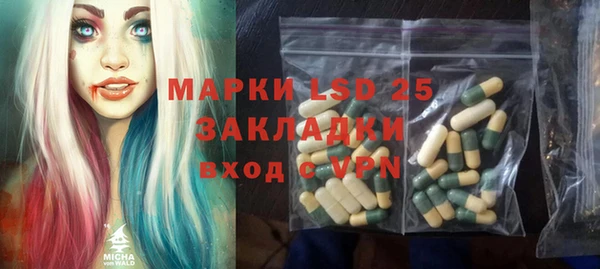 хмурый Горняк